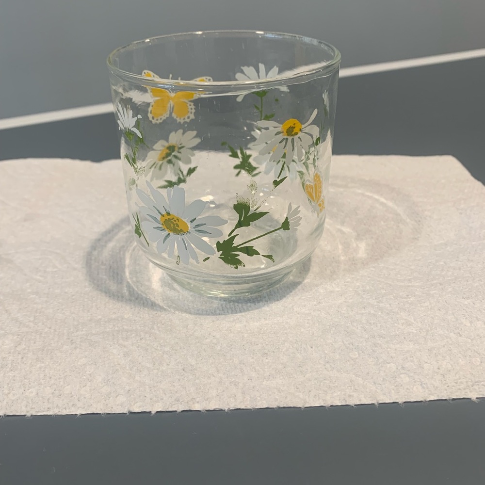 Vintage Libbey Daisy Rocks Glass